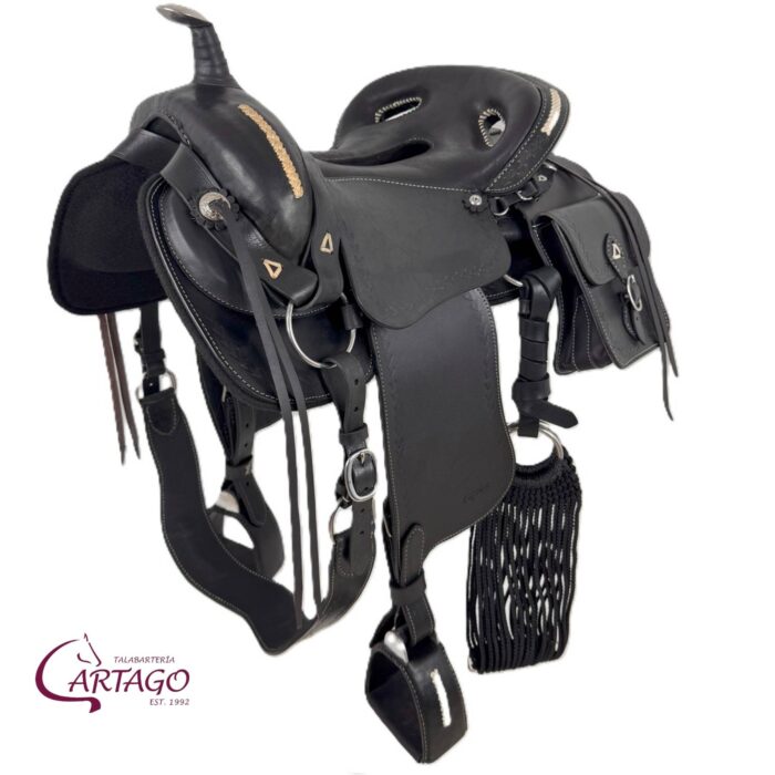 Silla Cartago Chaparral Negro - Imagen 2