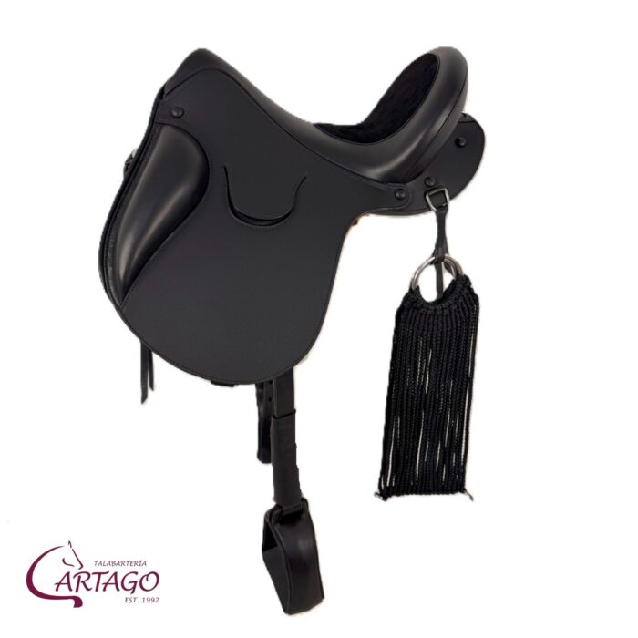 Galápago Cartago